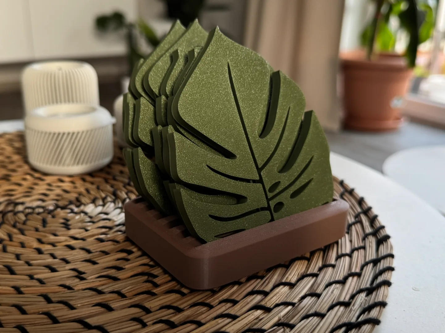 Monstera Coaster Set